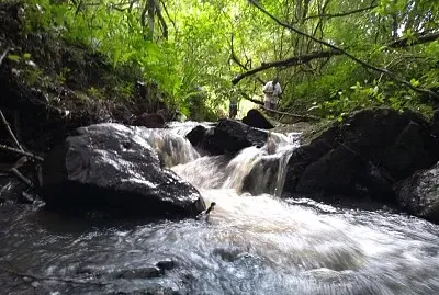 natureza e famÃ­lia