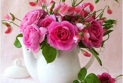 flores