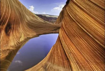 × ×•×¤×™×