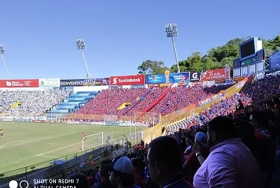 colmillo guadalupe