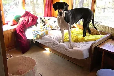 Nature jigsaw puzzle