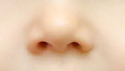 body parts