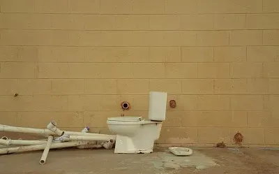 Inodoro jigsaw puzzle