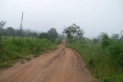 natureza e famÃ­lia