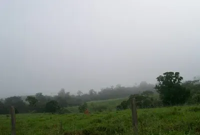 natureza e famÃ­lia