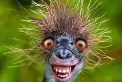 saÃ­da de quarentena