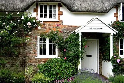 natural jigsaw puzzle