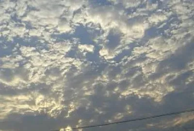 lorians jigsaw puzzle