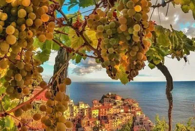 natural jigsaw puzzle