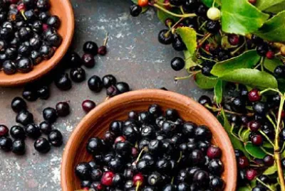 frutas jigsaw puzzle
