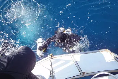 steno61 jigsaw puzzle