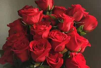 flores