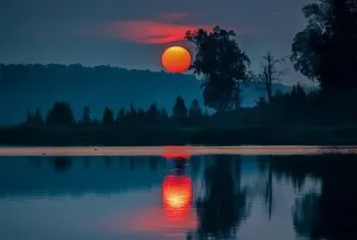 familia jigsaw puzzle