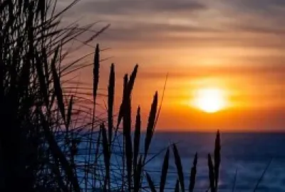 soirÃ©e ensoleillÃ©e