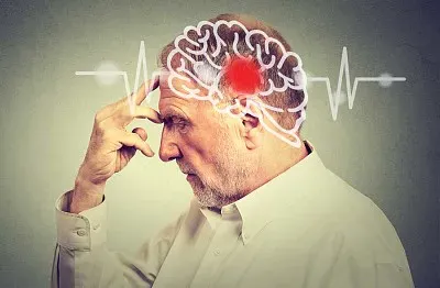 AdaptaciÃ³n a la vejez, Cerebro de adulto mayor