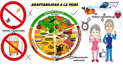 Adaptabilidad a la vejez