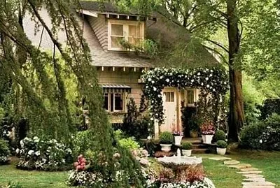 natural jigsaw puzzle