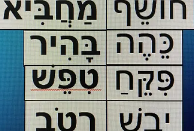 ×™×¤×”