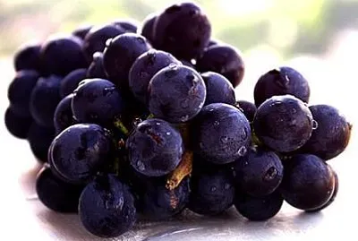 frutas