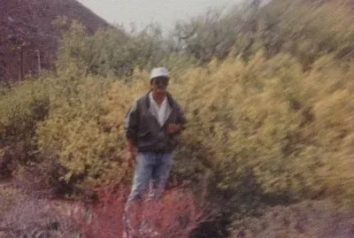 Bug en el Arroyo de El Coloradito