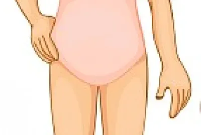 corpo humano jigsaw puzzle