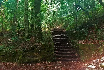 bosque encantado-pontevedra