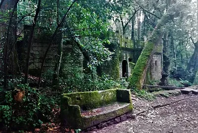 bosque encantado-pontevedra