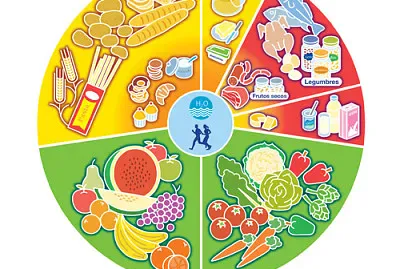 clasificaciÃ³n de los alimentos