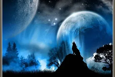 lobo en luna llena
