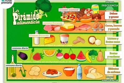 Piramide Alimenticia jigsaw puzzle