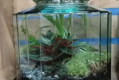 Terrarium