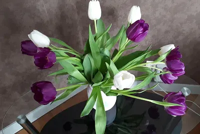 bouquet de tulipes