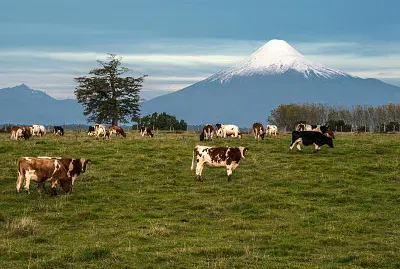 VOLCAN OSORNO,CHILE