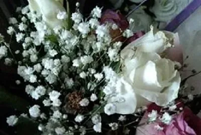 Fleurs jigsaw puzzle