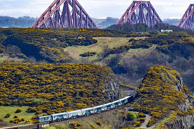 trenes jigsaw puzzle