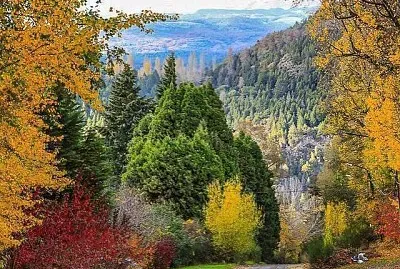 פאזל של paisaje