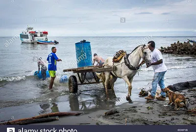 vzla