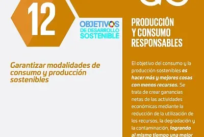 ODS 12