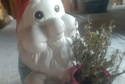Nain de Jardin