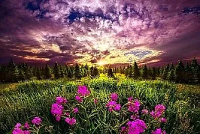 MIS NIETOS jigsaw puzzle