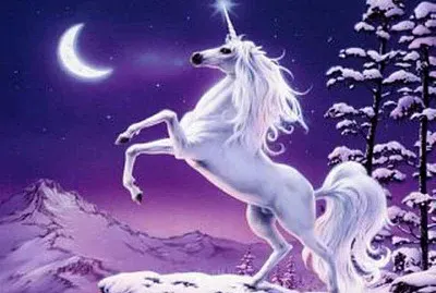fantasy