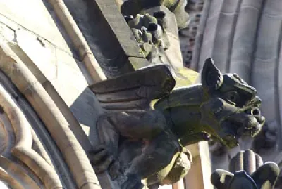פאזל של Gargouille du temple Saint-Etienne