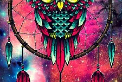 Bhuos, Aves, Pajaros