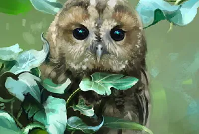 Bhuos, Aves, Pajaros