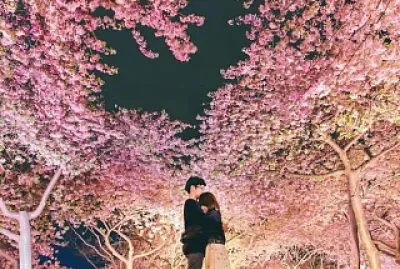 imagem jigsaw puzzle