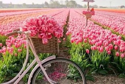 flores jigsaw puzzle