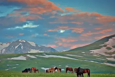 Russia jigsaw puzzle