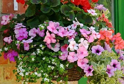 flores jigsaw puzzle