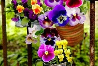 flores jigsaw puzzle