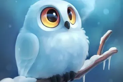 Bhuos, Aves, Pajaros